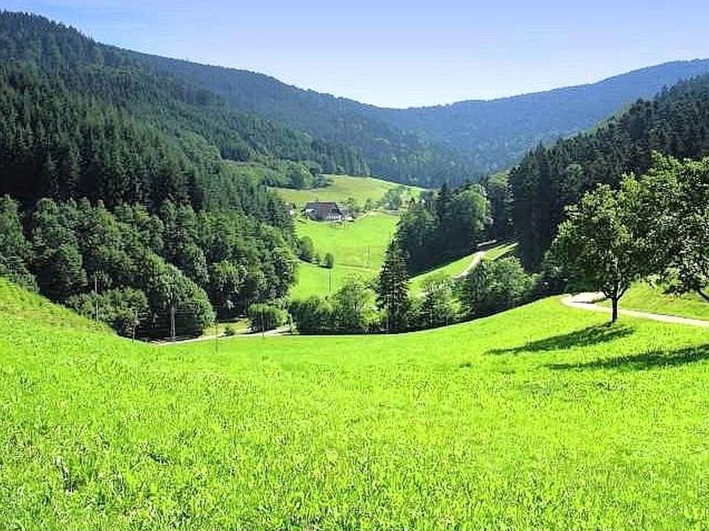 Stinneshof Oberharmersbach Exterior photo