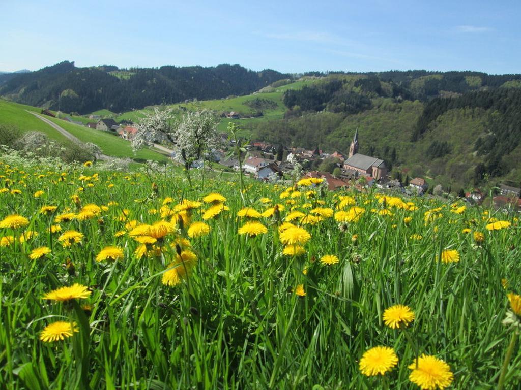 Stinneshof Oberharmersbach Exterior photo