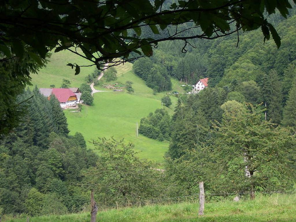 Stinneshof Oberharmersbach Exterior photo